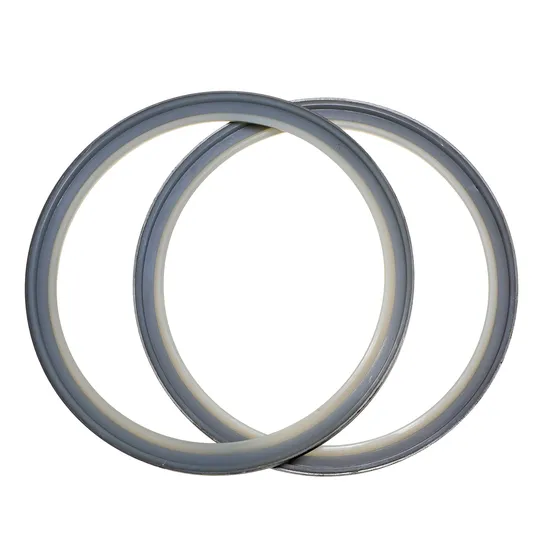 Customized Metal Wiper PU with Iron Lip Seals Dust Wiper Seal for Cylinder Hydraulic